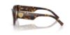 Picture of Dolce & Gabbana Sunglasses DG4536