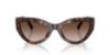 Picture of Dolce & Gabbana Sunglasses DG4536