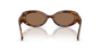 Picture of Dolce & Gabbana Sunglasses DG4537