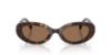 Picture of Dolce & Gabbana Sunglasses DG4537
