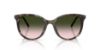 Picture of Dolce & Gabbana Sunglasses DG4540
