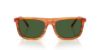 Picture of Dolce & Gabbana Sunglasses DG4542