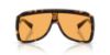 Picture of Dolce & Gabbana Sunglasses DG6205