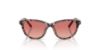 Picture of Dolce & Gabbana Sunglasses DX4010