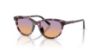 Picture of Dolce & Gabbana Sunglasses DX4010