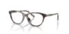 Picture of Dolce & Gabbana Eyeglasses DX3002