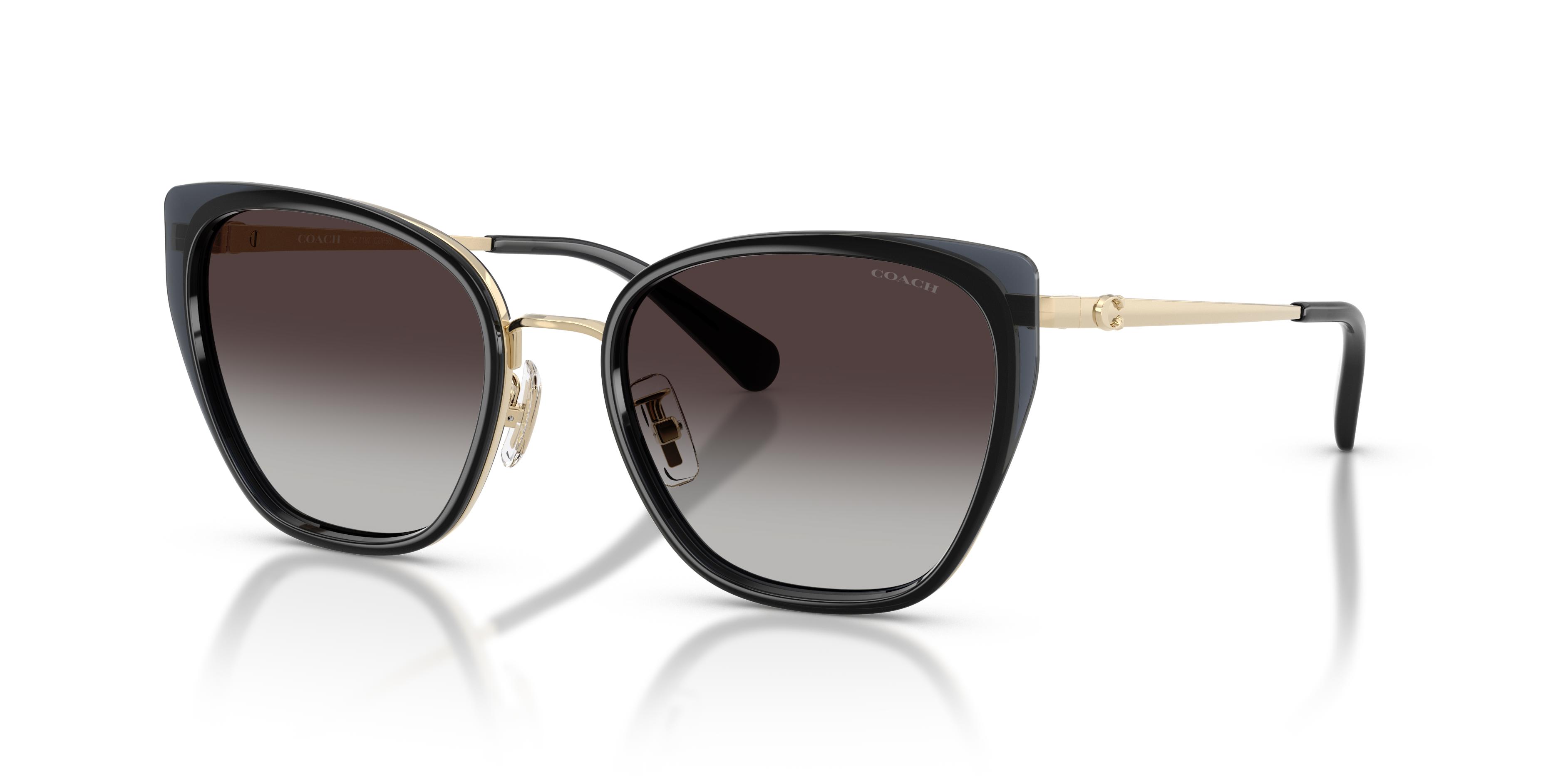 Picture of Coach Sunglasses HC7187
