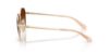 Picture of Coach Sunglasses HC7189