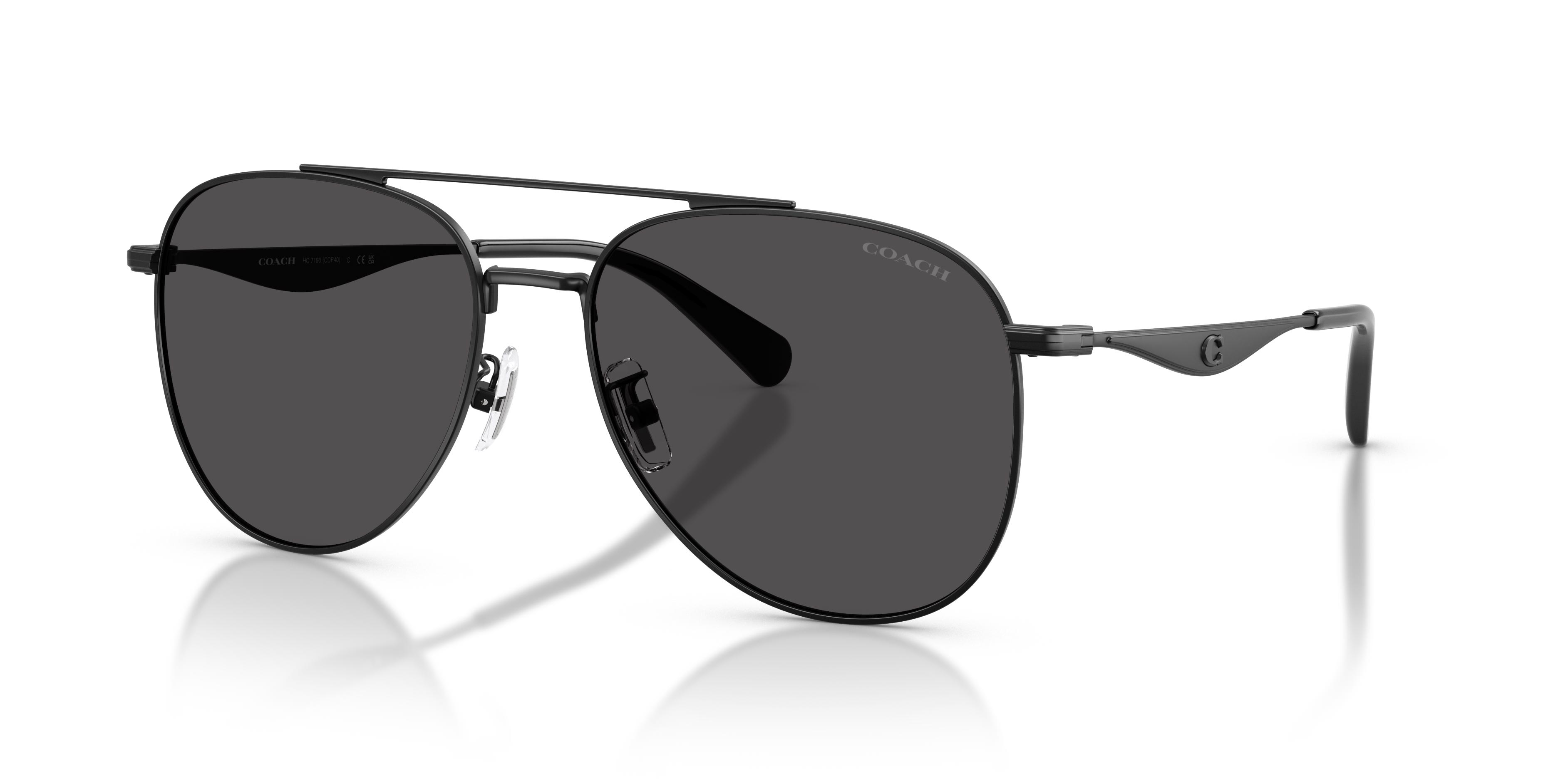 Picture of Coach Sunglasses HC7190