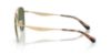 Picture of Coach Sunglasses HC7190