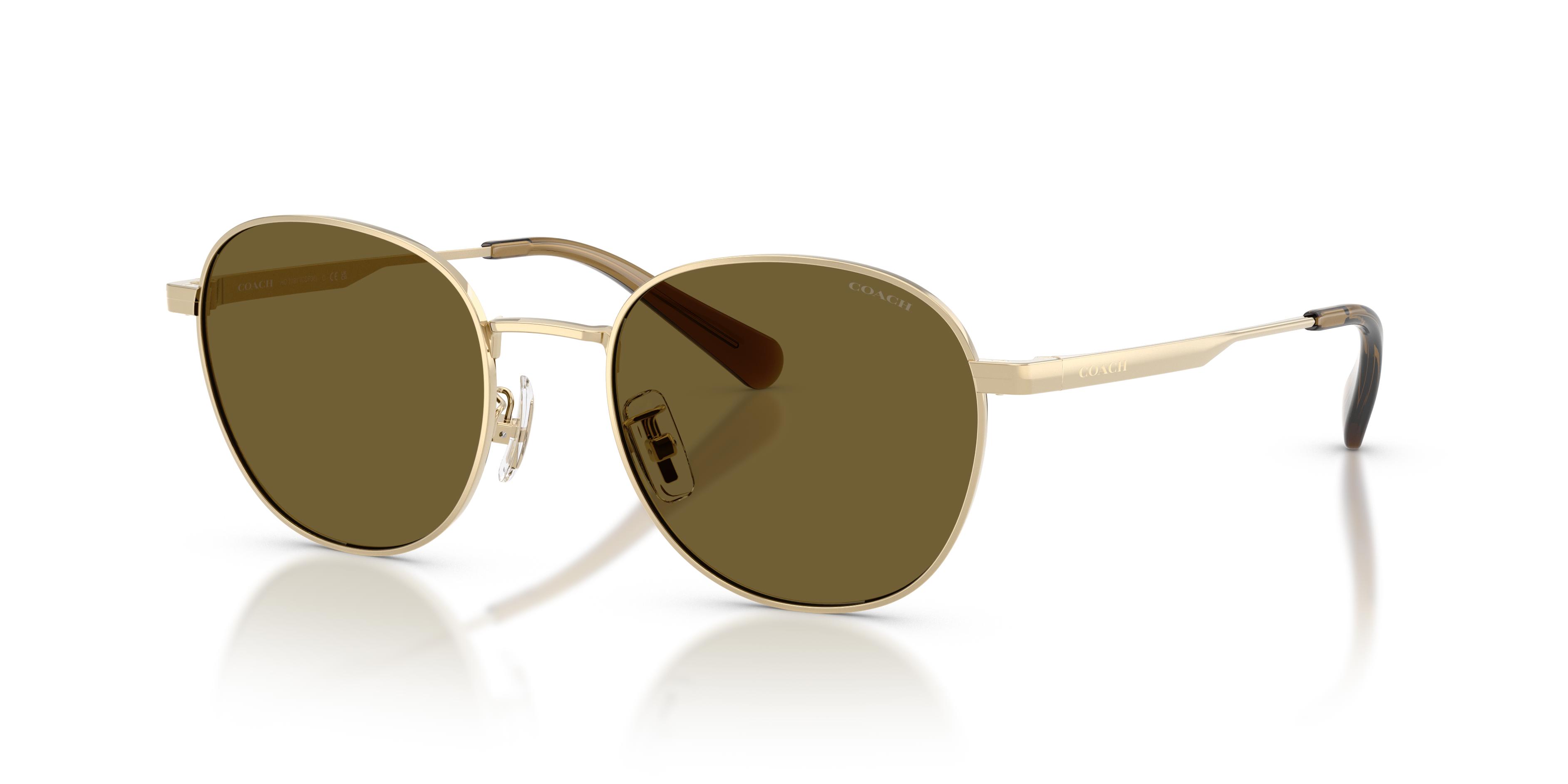 Picture of Coach Sunglasses HC7191