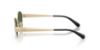Picture of Coach Sunglasses HC7192D