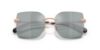 Picture of Coach Sunglasses HC7193D