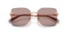 Picture of Coach Sunglasses HC7193D