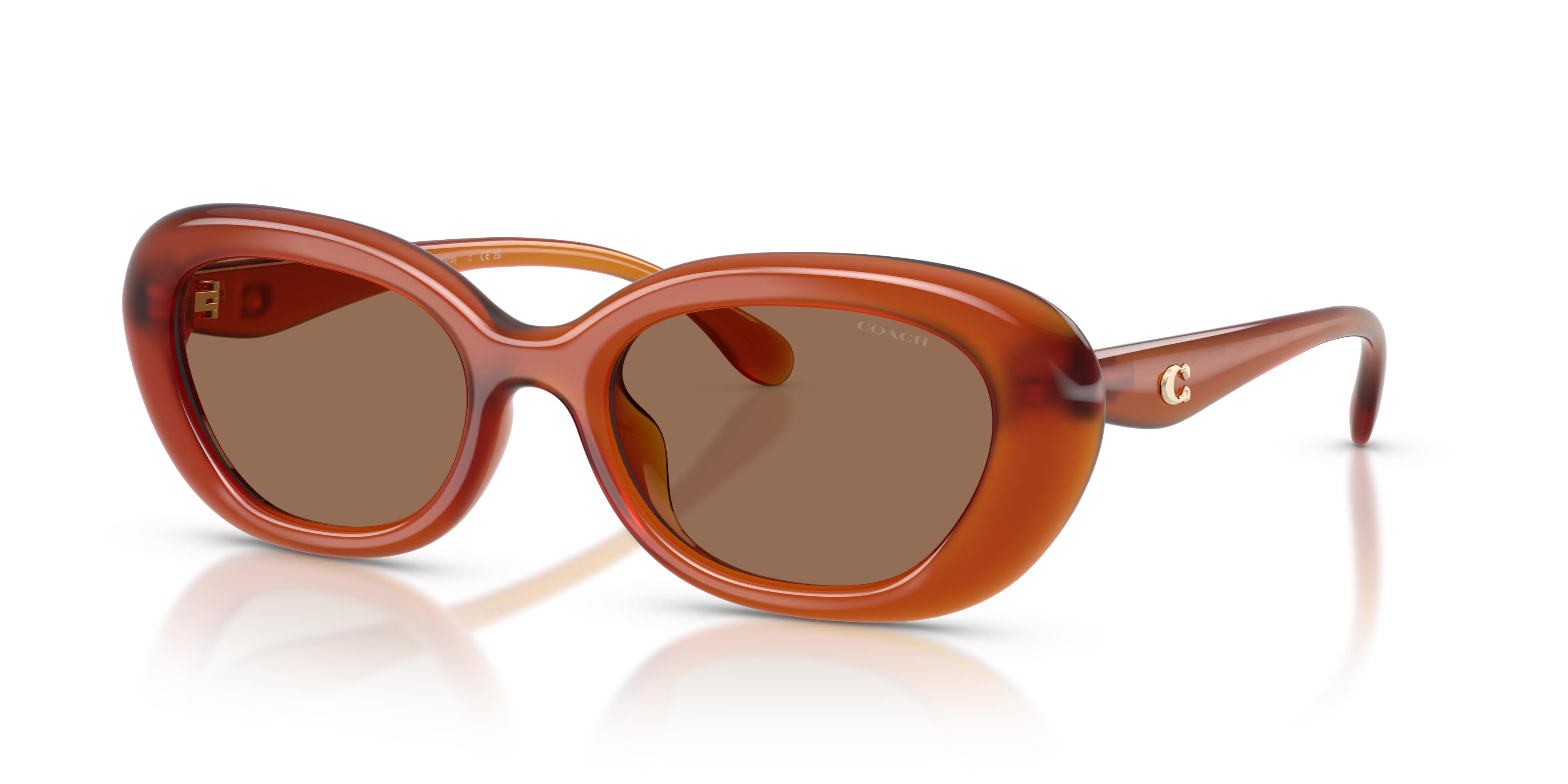 Picture of Coach Sunglasses HC8448U
