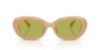 Picture of Coach Sunglasses HC8448U
