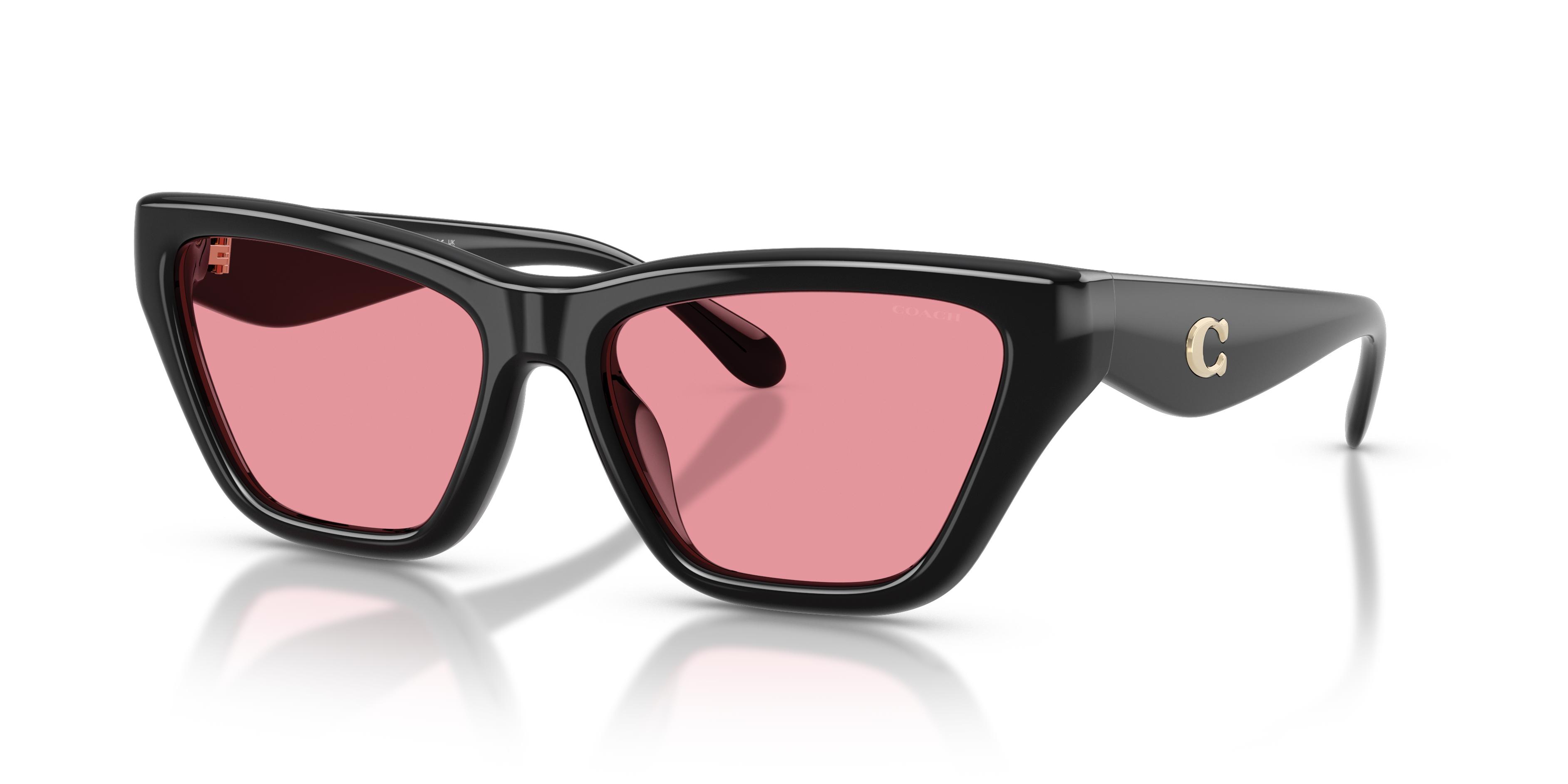 Picture of Coach Sunglasses HC8449U