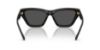 Picture of Coach Sunglasses HC8449U