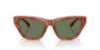 Picture of Coach Sunglasses HC8449U