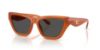 Picture of Coach Sunglasses HC8449U