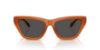 Picture of Coach Sunglasses HC8449U