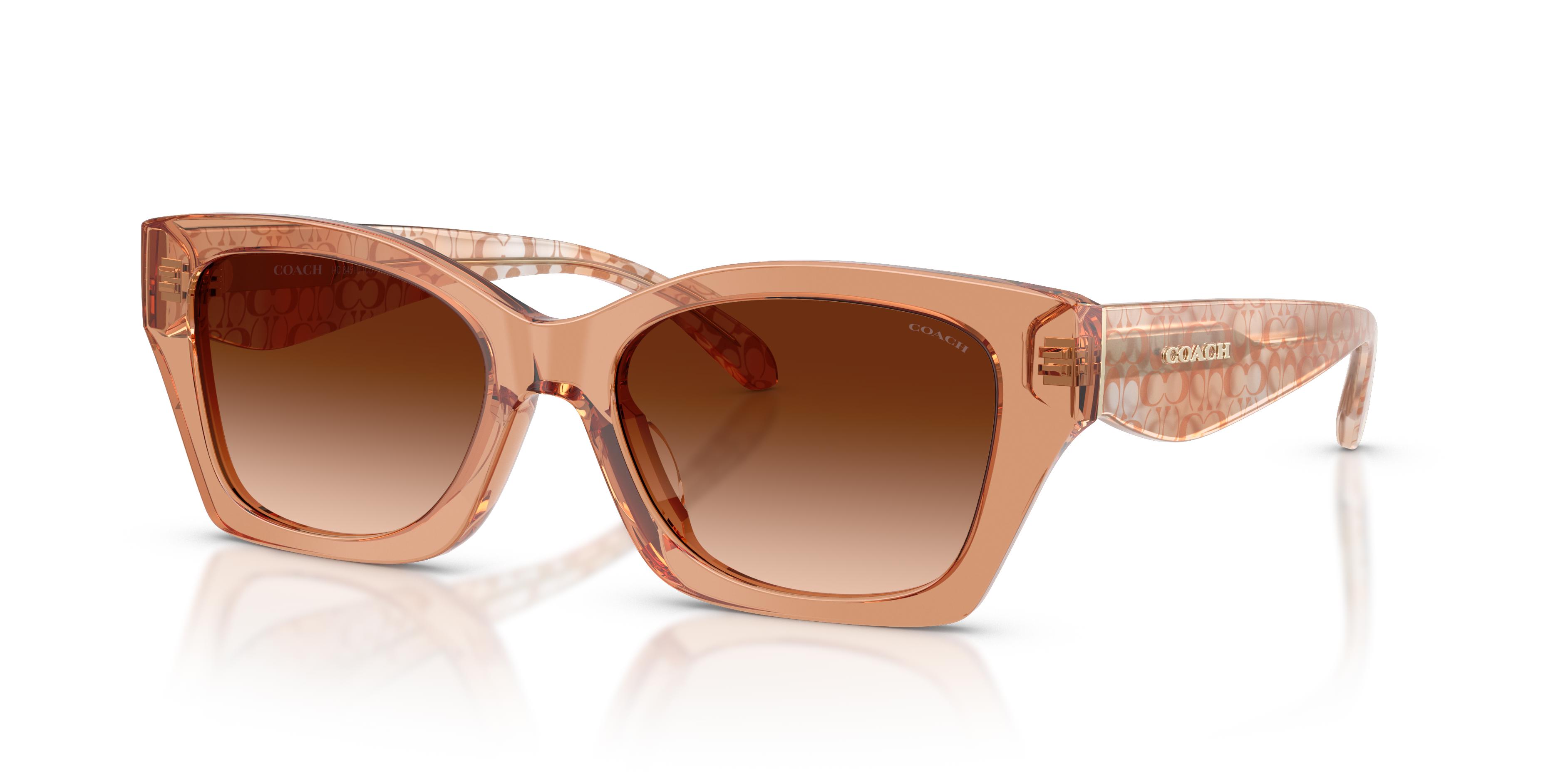 Picture of Coach Sunglasses HC8451U