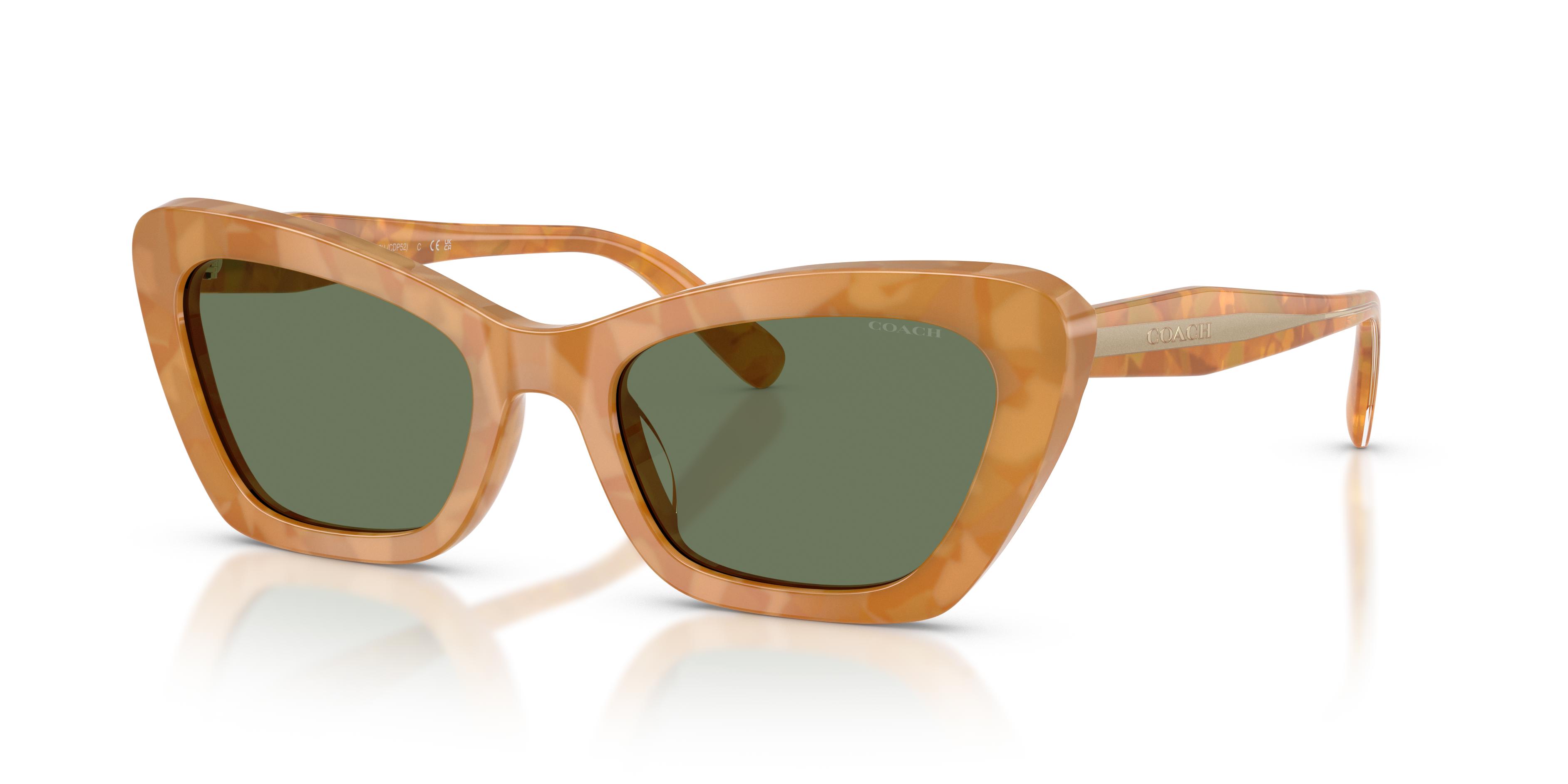 Picture of Coach Sunglasses HC8452U