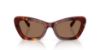 Picture of Coach Sunglasses HC8452U