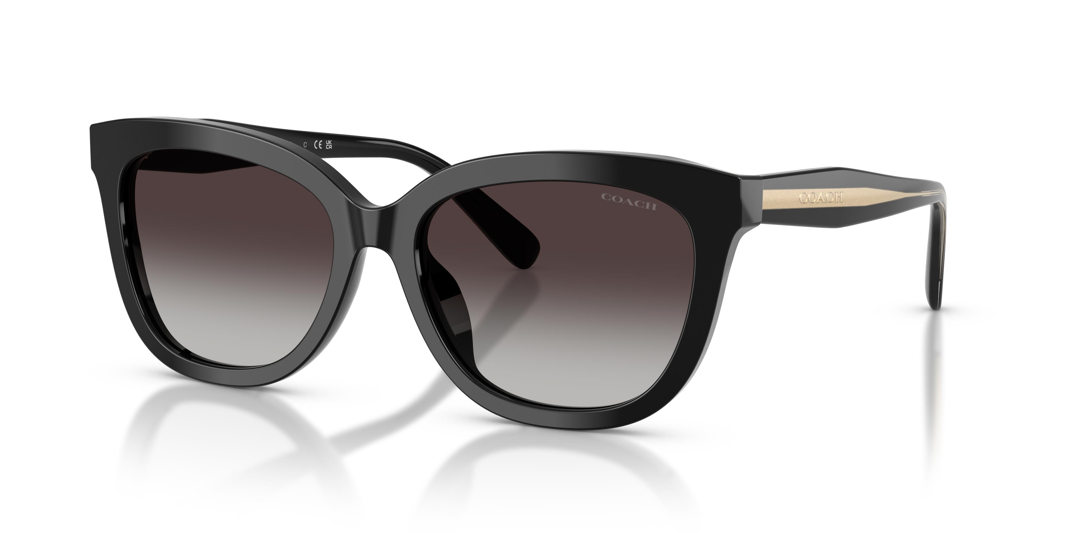 Picture of Coach Sunglasses HC8453U