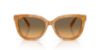 Picture of Coach Sunglasses HC8453U