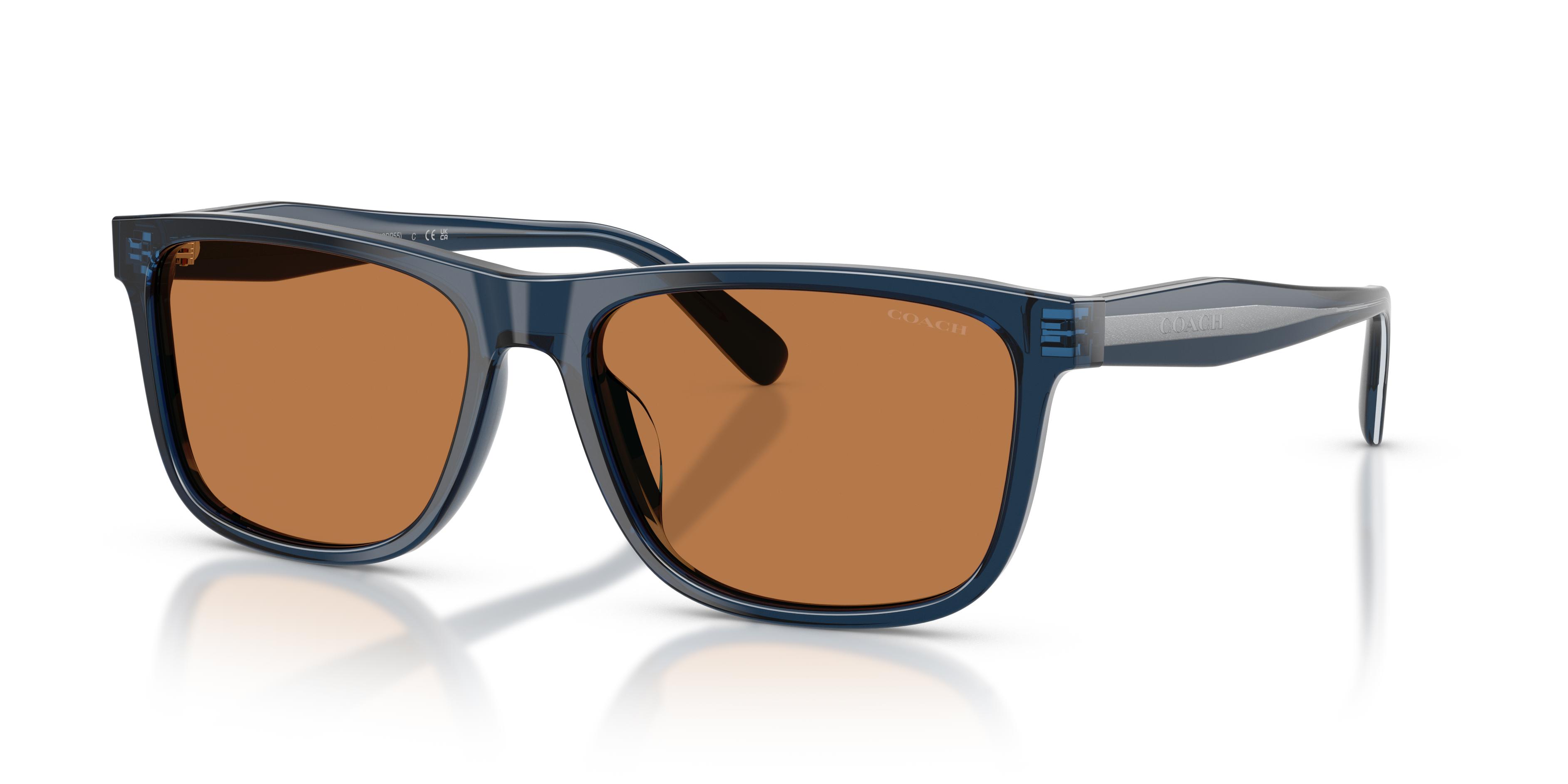 Picture of Coach Sunglasses HC8454U