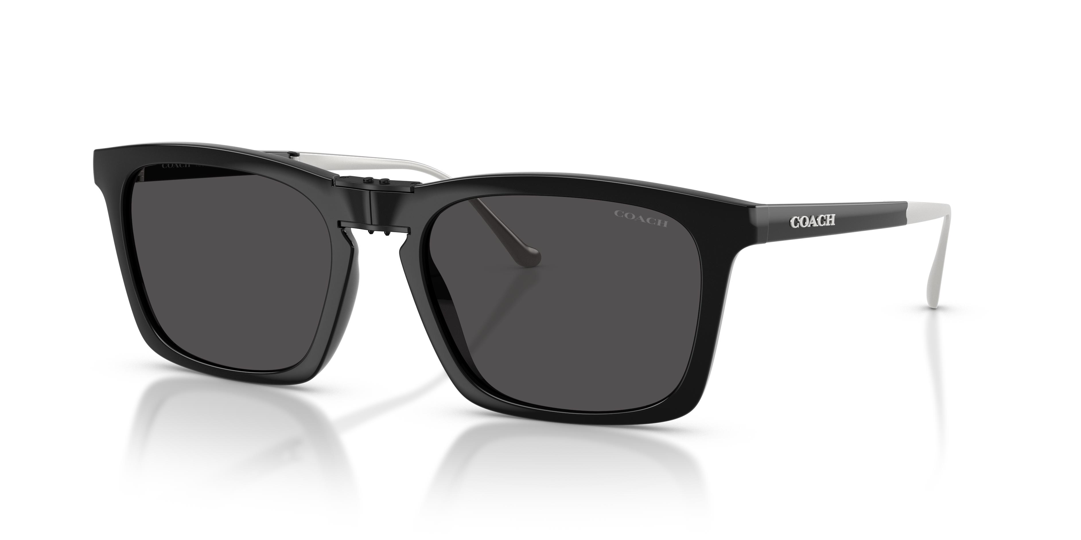 Picture of Coach Sunglasses HC8455