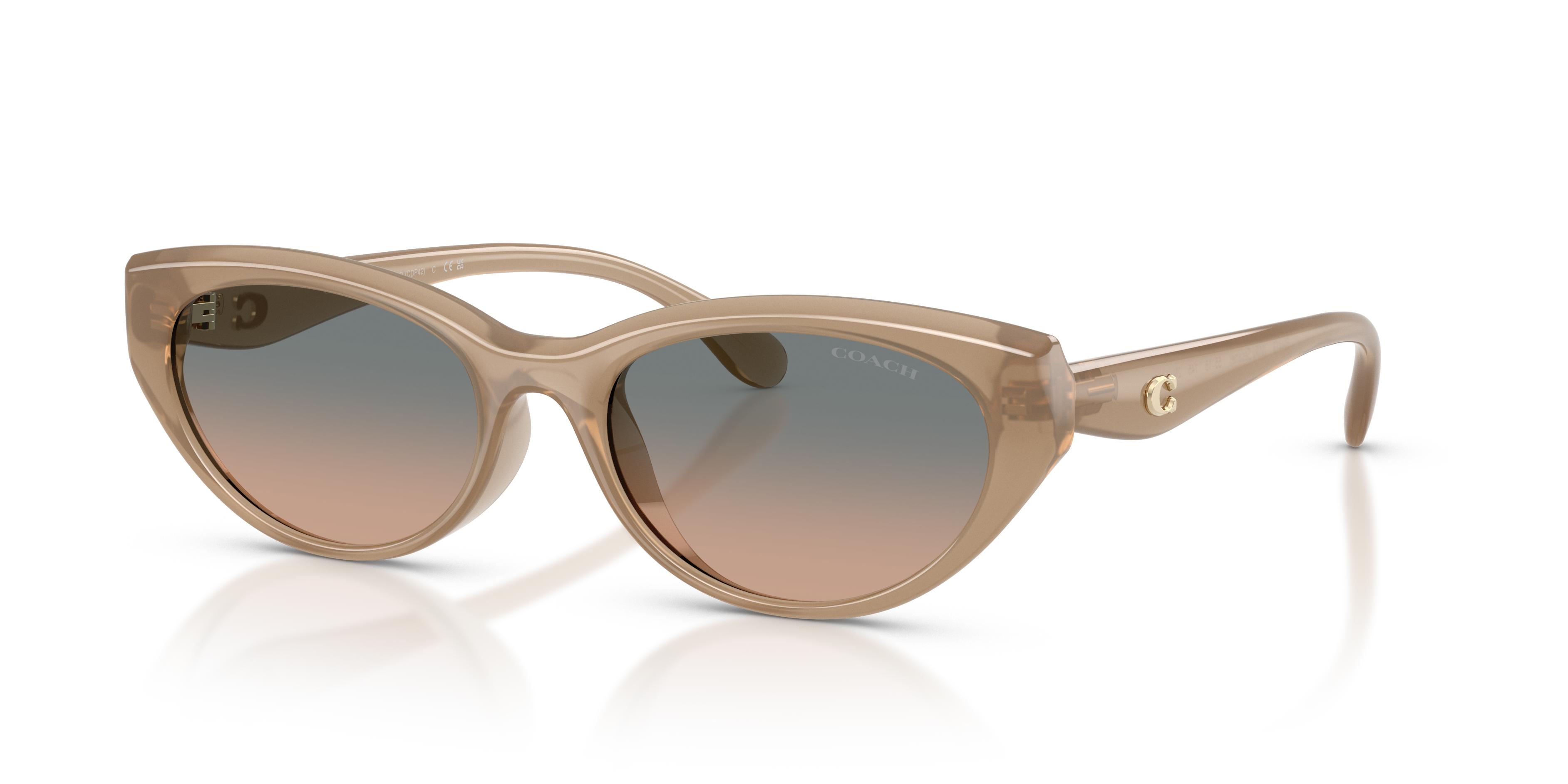 Picture of Coach Sunglasses HC8456D