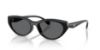 Picture of Coach Sunglasses HC8456D