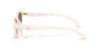 Picture of Coach Sunglasses HC8456D