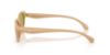 Picture of Coach Sunglasses HC8456D