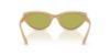 Picture of Coach Sunglasses HC8456D