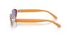 Picture of Ralph Lauren Sunglasses RL7094