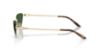 Picture of Ralph Lauren Sunglasses RL7095