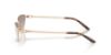 Picture of Ralph Lauren Sunglasses RL7095