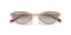 Picture of Ralph Lauren Sunglasses RL7095