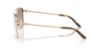 Picture of Ralph Lauren Sunglasses RL7096