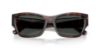 Picture of Ralph Lauren Sunglasses RL8240U