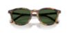 Picture of Ralph Lauren Sunglasses RL8241U
