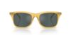 Picture of Ralph Lauren Sunglasses RL8242U