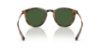 Picture of Polo Sunglasses PH4239U