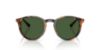 Picture of Polo Sunglasses PH4239U