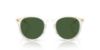 Picture of Polo Sunglasses PH4239U