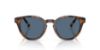 Picture of Polo Sunglasses PH4241U