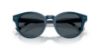 Picture of Polo Sunglasses PH4241U
